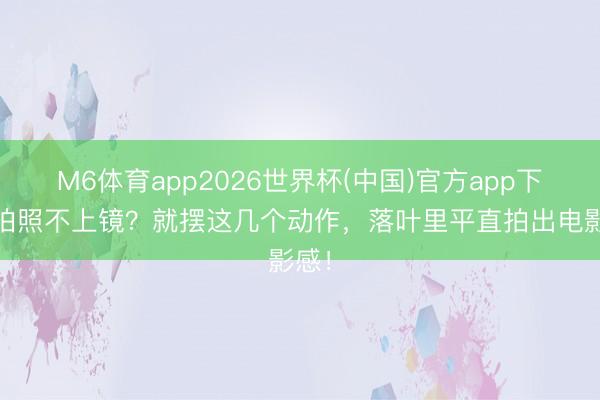 M6体育app2026世界杯(中国)官方app下载 拍照不上镜？就摆这几个动作，落叶里平直拍出电影感！