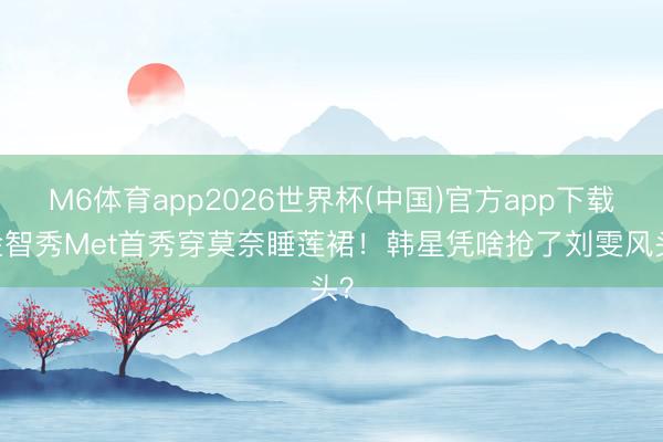 M6体育app2026世界杯(中国)官方app下载 金智秀Met首秀穿莫奈睡莲裙！韩星凭啥抢了刘雯风头？