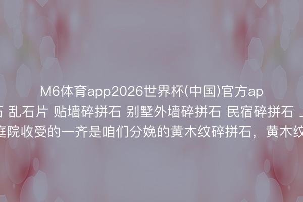 M6体育app2026世界杯(中国)官方app下载 黄木纹碎拼石 乱石片 贴墙碎拼石 别墅外墙碎拼石 民宿碎拼石 上海浦东新区的一家庭院收受的一齐是咱们分娩的黄木纹碎拼石，黄木纹碎拼石是自然原生态石材，石身自带细腻当然的黄木纹肌理，纹路勾搭档次分明，后光温润轻柔，全体颜色清雅耐看，自然质感完全。