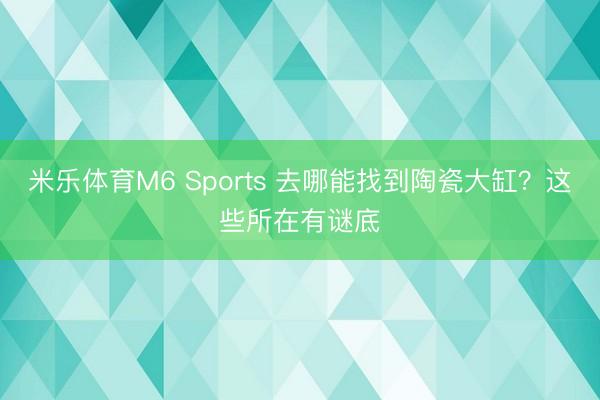 米乐体育M6 Sports 去哪能找到陶瓷大缸？这些所在有谜底
