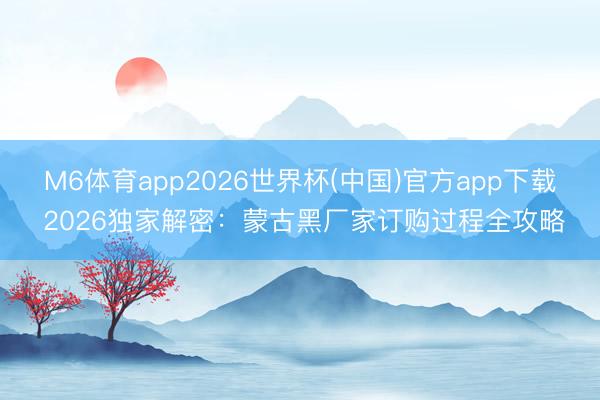 M6体育app2026世界杯(中国)官方app下载 2026独家解密：蒙古黑厂家订购过程全攻略
