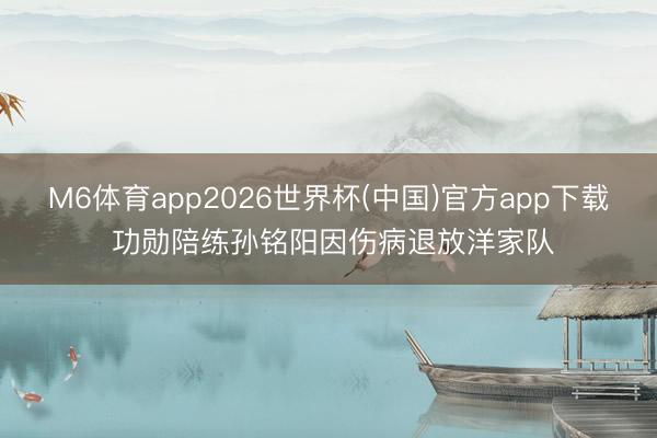 M6体育app2026世界杯(中国)官方app下载 功勋陪练孙铭阳因伤病退放洋家队