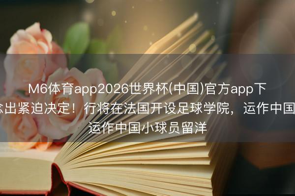 M6体育app2026世界杯(中国)官方app下载 谢晖作念出紧迫决定！行将在法国开设足球学院，运作中国小球员留洋
