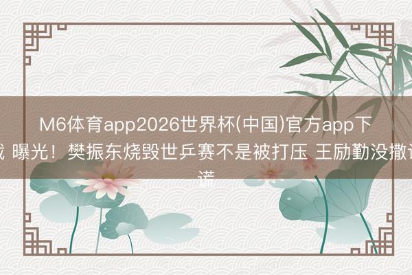 M6体育app2026世界杯(中国)官方app下载 曝光！樊振东烧毁世乒赛不是被打压 王励勤没撒谎