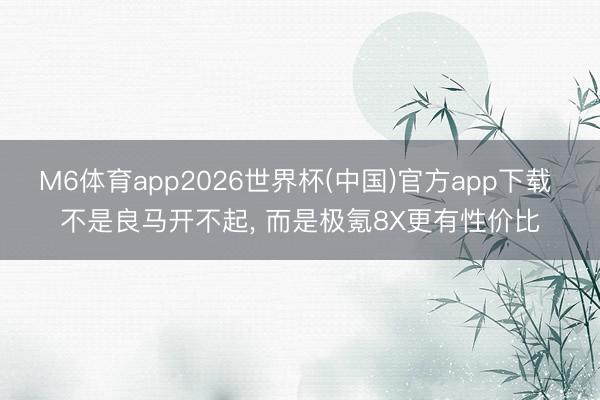 M6体育app2026世界杯(中国)官方app下载 不是良马开不起， 而是极氪8X更有性价比