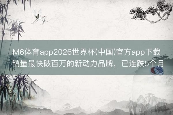 M6体育app2026世界杯(中国)官方app下载 销量最快破百万的新动力品牌，已连跌5个月