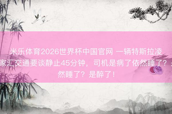 米乐体育2026世界杯中国官网 一辆特斯拉凌晨在徐家汇交通要谈静止45分钟，司机是病了依然睡了？是醉了！