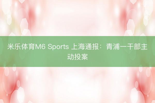 米乐体育M6 Sports 上海通报：青浦一干部主动投案