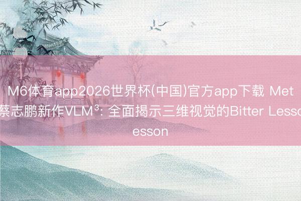 M6体育app2026世界杯(中国)官方app下载 Meta蔡志鹏新作VLM³: 全面揭示三维视觉的Bitter Lesson