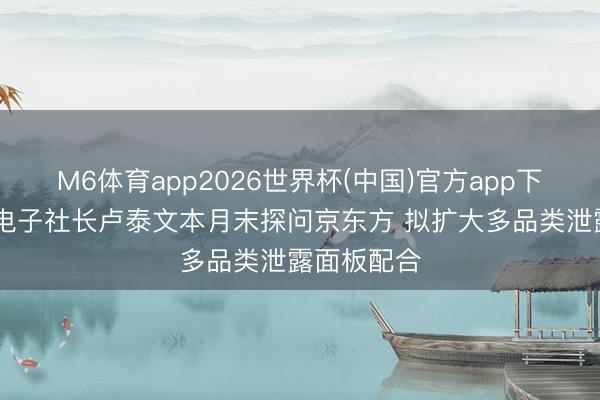 M6体育app2026世界杯(中国)官方app下载 曝三星电子社长卢泰文本月末探问京东方 拟扩大多品类泄露面板配合