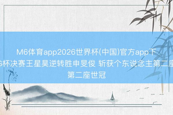 M6体育app2026世界杯(中国)官方app下载 LG杯决赛王星昊逆转胜申旻俊 斩获个东说念主第二座世冠