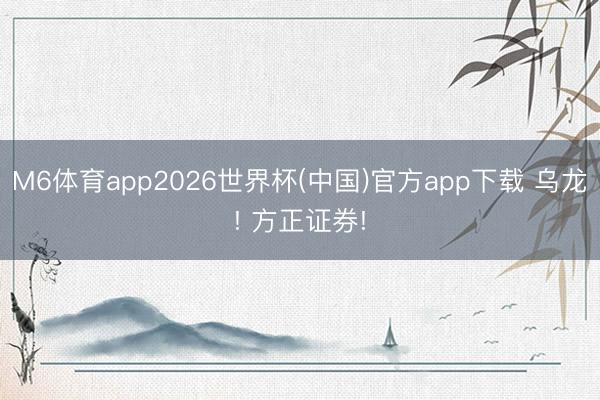 M6体育app2026世界杯(中国)官方app下载 乌龙! 方正证券!