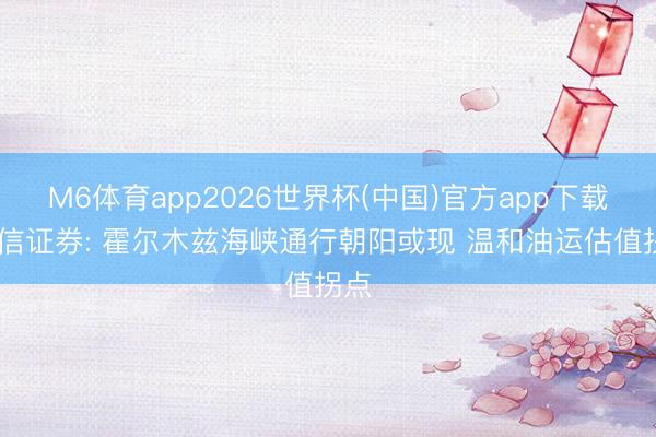 M6体育app2026世界杯(中国)官方app下载 中信证券: 霍尔木兹海峡通行朝阳或现 温和油运估值拐点